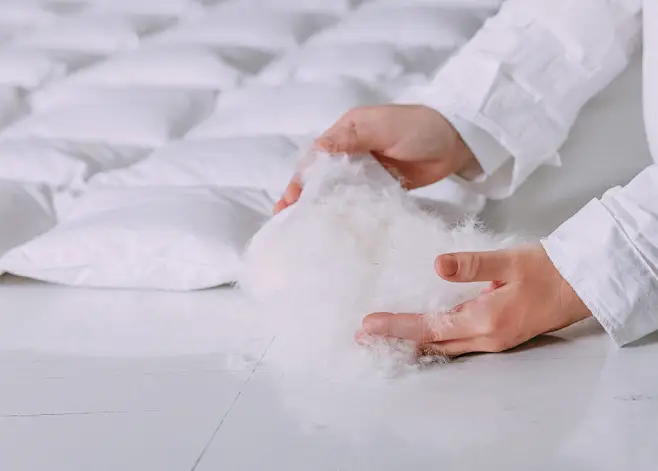 How to wash pillows filled with white goose down gently